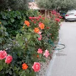 Olive 2 Apartament Zadar