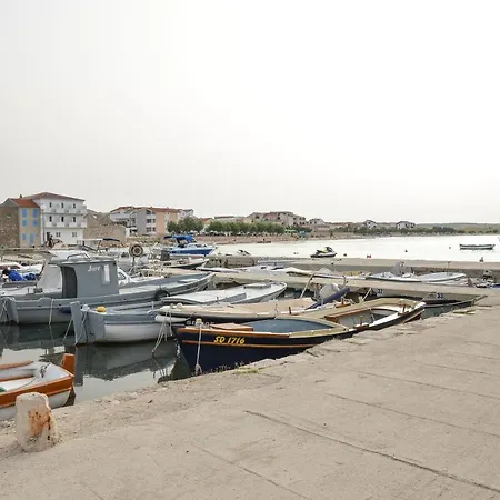 Olive 2 Zadar