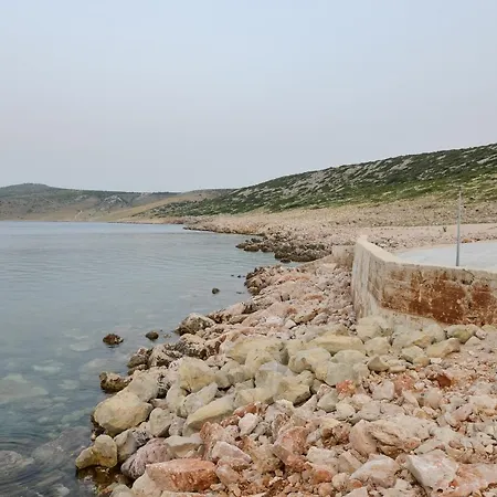 Olive 2 * Zadar