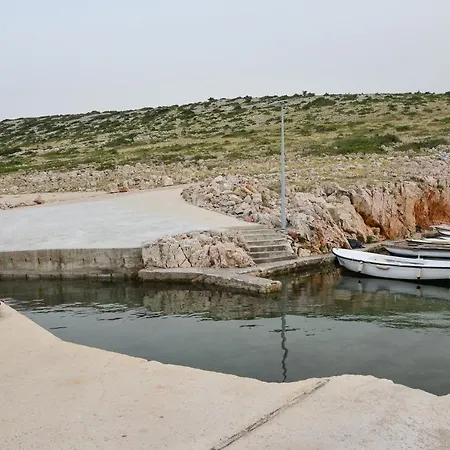 Olive 2 Zadar