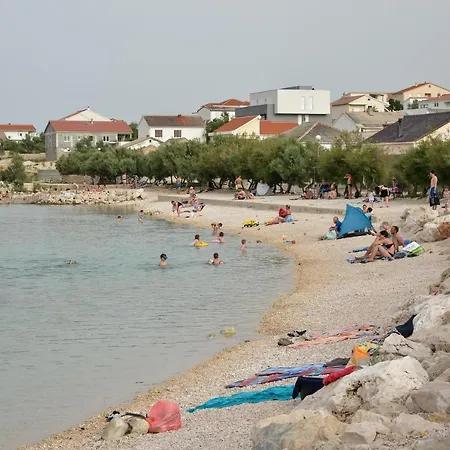 Olive 2 Zadar