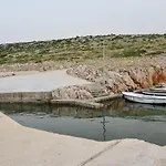 Olive 2 Zára