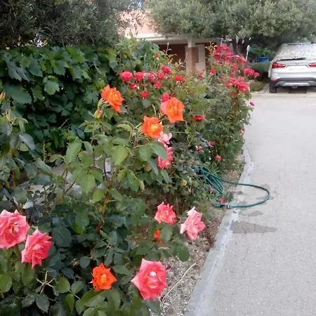 Olive 2 Apartamento Zadar