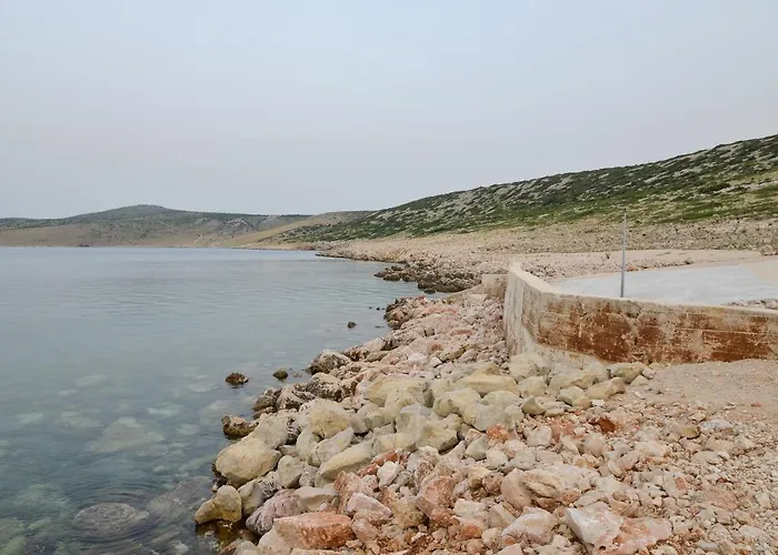 Olive 2 * Ζαντάρ