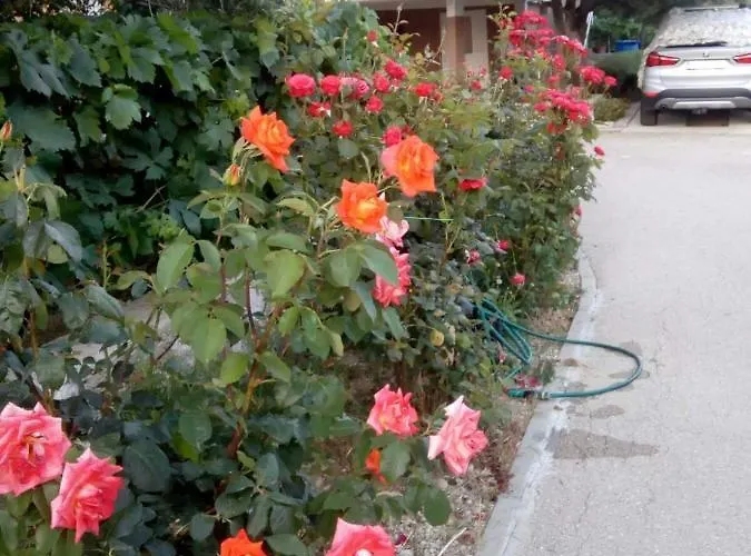 Olive 2 Διαμέρισμα Ζαντάρ